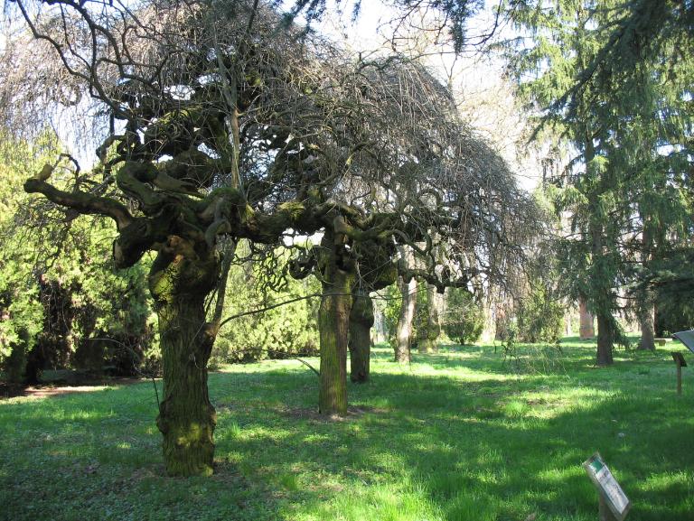 ER Ospedale Borselli - Bondeno FE